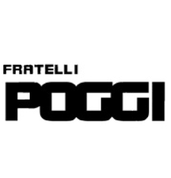 logo poggi