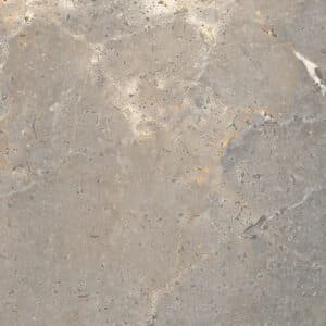 03 4424 n LEA anthology earth