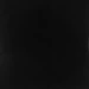04 artificial black 44A1615 600x600 jpg