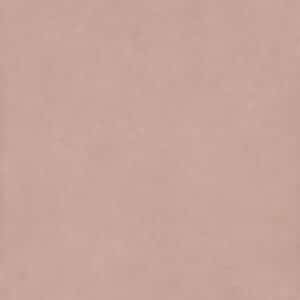 06 LEACERAMICHE pigmenti mauve 100x100