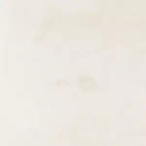 08 white limestone 44A1141 600x600 jpg
